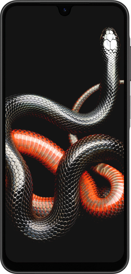 Силиконовый чехол Красно-черная змея на черном фоне для Samsung Galaxy A26 - 4063u-3881 изображение 