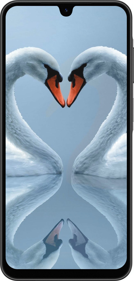 Силиконовый чехол Лебеди для Samsung Galaxy A26 - 6007u-3881 изображение 