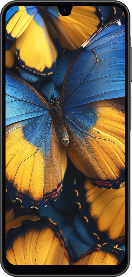 Силиконовый чехол Желто-голубые бабочки для Samsung Galaxy A26 - 6046u-3881 изображение 