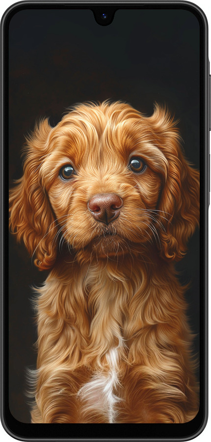 Силіконовий чехол Cocker spaniel на чорному фоні для Samsung Galaxy A26 - 6137u-3881 изображение 