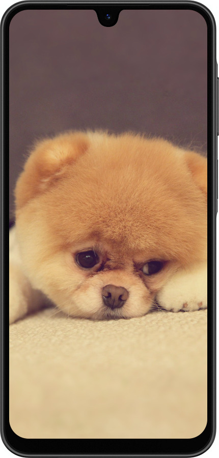 Силиконовый чехол Boo 2 для Samsung Galaxy A26 - 890u-3881 изображение 