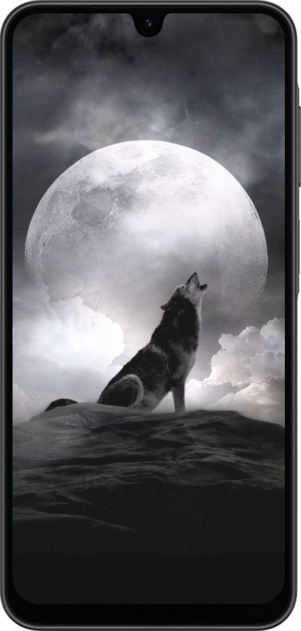 Силіконовий чехол Вовк, що виє для Samsung Galaxy A26 - 934u-3881 изображение 