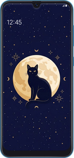 TPU чехол Cute Cat Celestial/Witchy для Samsung Galaxy A20 2019 A205F - 6787b-1761 изображение 
