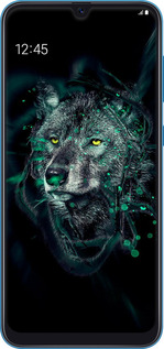 2D пластиковый чехол Wolf для Samsung Galaxy A20 2019 A205F - 6610t-1761 изображение 