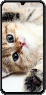 Силіконовий чехол Котик для Samsung Galaxy A34 A346E - 6024u-2936 изображение 