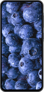 Силиконовый чехол Голубика для Samsung Galaxy A36 - 4459u-3836 изображение 