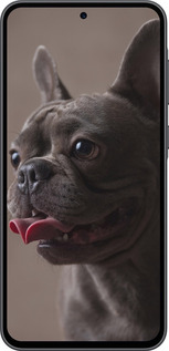 Силиконовый чехол Милый бульдог для Samsung Galaxy A36 - 5546u-3836 изображение 