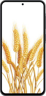 Силиконовый чехол Колоски пшеници для Samsung Galaxy A36 - 5866u-3836 изображение 