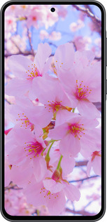 Силіконовий чехол Сакура для Samsung Galaxy A36 - 6029u-3836 изображение 