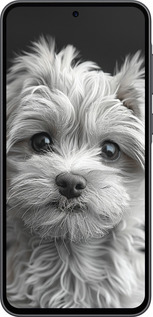 Силиконовый чехол Мальтипу на чорном фоне для Samsung Galaxy A36 - 6156u-3836 изображение 