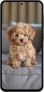 Силиконовый чехол Mini-maltipoo для Samsung Galaxy A36 - 6158u-3836 изображение 