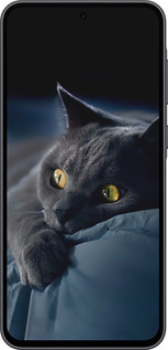 Силіконовий чехол Димчастий кіт для Samsung Galaxy A36 - 825u-3836 изображение 