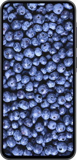 Силиконовый чехол Черника для Samsung Galaxy A36 - 851u-3836 изображение 