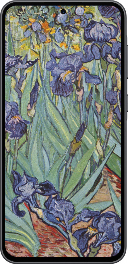 Силиконовый чехол Винсент Ван Гог. Ирисы для Samsung Galaxy A36 - 161u-3836 изображение 