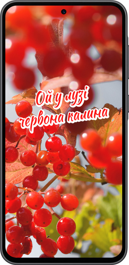 Силіконовий чехол Калина для Samsung Galaxy A36 - 5454u-3836 изображение 