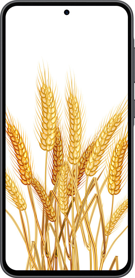 Силиконовый чехол Колоски пшеници для Samsung Galaxy A36 - 5866u-3836 изображение 