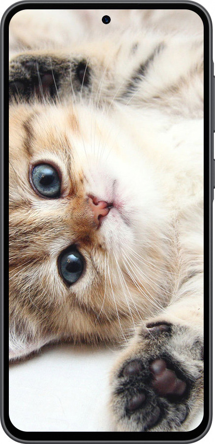 Силиконовый чехол Котик для Samsung Galaxy A36 - 6024u-3836 изображение 