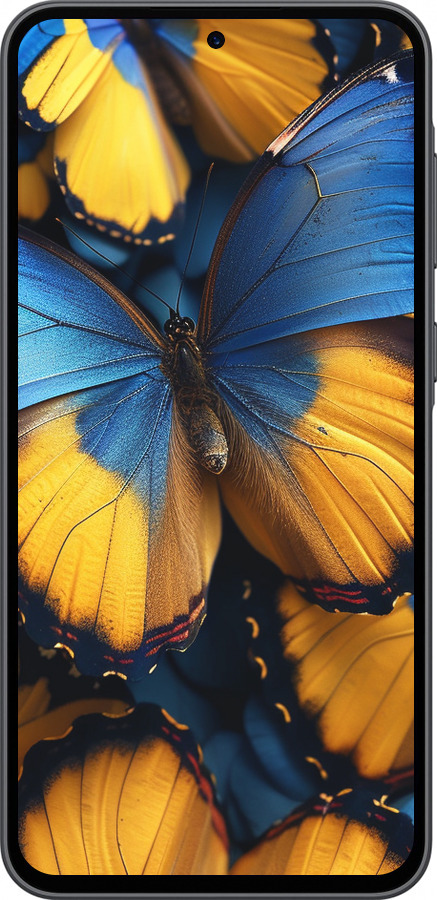 Силіконовий чехол Жовто-блакитні метелики для Samsung Galaxy A36 - 6046u-3836 изображение 