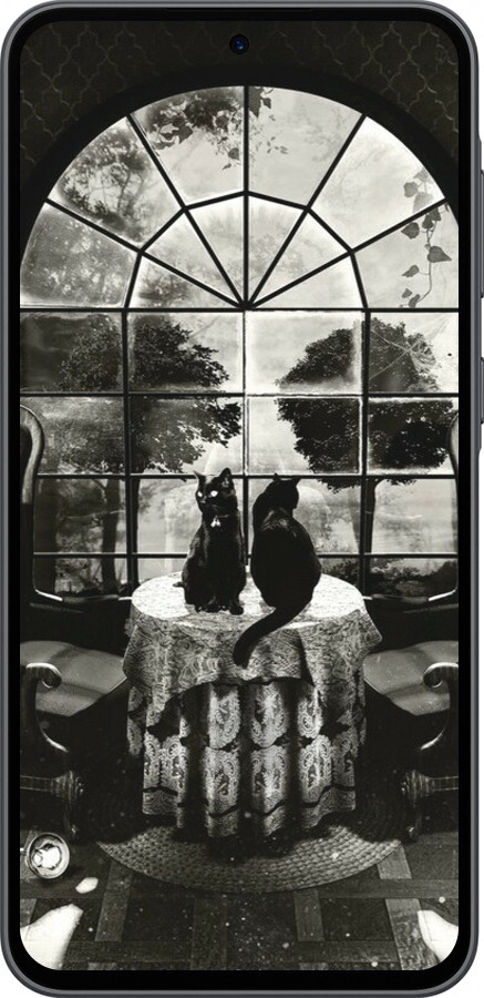 Силиконовый чехол Череп и коты для Samsung Galaxy A36 - 6432u-3836 изображение 