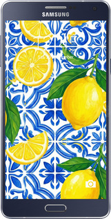 Силіконовий чехол Grocery Girl Italian Summer для Samsung Galaxy A5 A500H - 6766u-73 изображение 