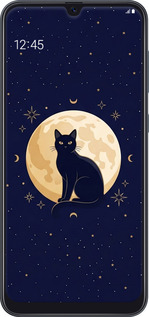 TPU чехол Cute Cat Celestial/Witchy для Samsung Galaxy A50 2019 A505F - 6787b-1668 изображение 