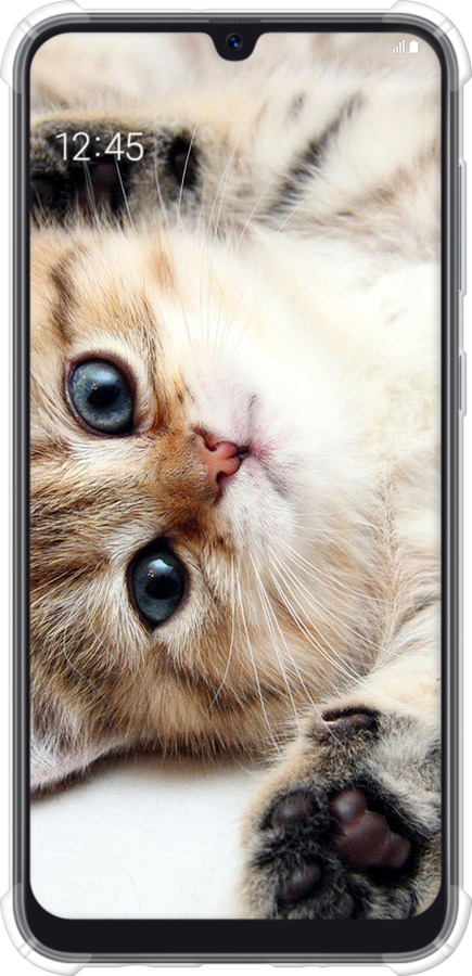 Силикон с усиленными углами чехол Котик для Samsung Galaxy A50 2019 A505F - 6024sp-1668 изображение 
