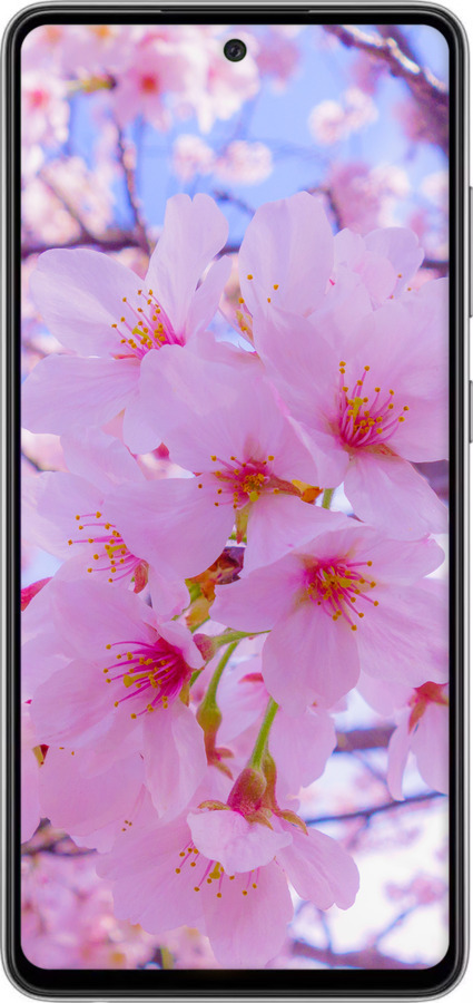 2D пластиковый чехол Сакура для Samsung Galaxy A52s 5G A528B - 6029t-2583 изображение 