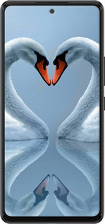 TPU чехол Лебеді для Samsung Galaxy A53 A536E - 6007b-2585 изображение 