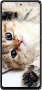 TPU чехол Котик для Samsung Galaxy A53 A536E - 6024b-2585 изображение 