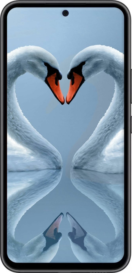 Силіконовий чехол Лебеді для Samsung Galaxy A54 A546E - 6007u-2935 изображение 
