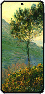 TPU чехол Клод Моне для Samsung Galaxy A56 - 1193b-3882 изображение 