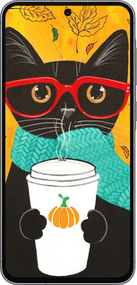 TPU чехол Осенний кот для Samsung Galaxy A56 - 4026b-3882 изображение 