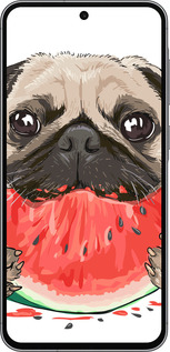 TPU чехол Мопс и арбуз для Samsung Galaxy A56 - 4665b-3882 изображение 