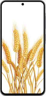 TPU чехол Колоски пшеници для Samsung Galaxy A56 - 5866b-3882 изображение 