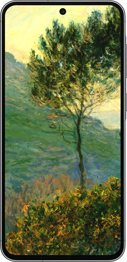 TPU чехол Клод Моне для Samsung Galaxy A56 - 1193b-3882 изображение 