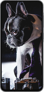 Силиконовый чехол Бульдог-фотограф для Samsung Galaxy A56 - 142u-3882 изображение 