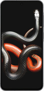 Силиконовый чехол Красно-черная змея на черном фоне для Samsung Galaxy A56 - 4063u-3882 изображение 