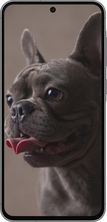 Силиконовый чехол Милый бульдог для Samsung Galaxy A56 - 5546u-3882 изображение 