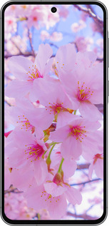 Силиконовый чехол Сакура для Samsung Galaxy A56 - 6029u-3882 изображение 