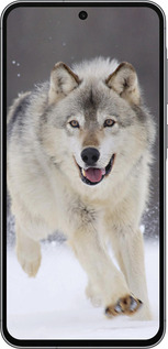 Силиконовый чехол Бегущий волк для Samsung Galaxy A56 - 826u-3882 изображение 