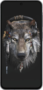 Силиконовый чехол Волк-меломан для Samsung Galaxy A56 - 875u-3882 изображение 
