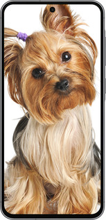 Силиконовый чехол Йоркширский терьер с хвостиком для Samsung Galaxy A56 - 930u-3882 изображение 