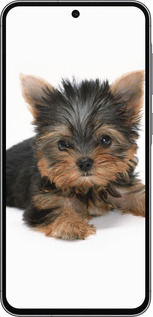 Силиконовый чехол Щенок йоркширского терьера для Samsung Galaxy A56 - 931u-3882 изображение 