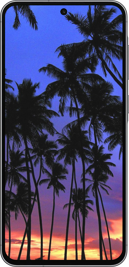 Силиконовый чехол Пальмы для Samsung Galaxy A56 - 4324u-3882 изображение 