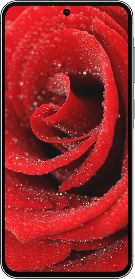 Силіконовий чехол Червона троянда для Samsung Galaxy A56 - 529u-3882 изображение 