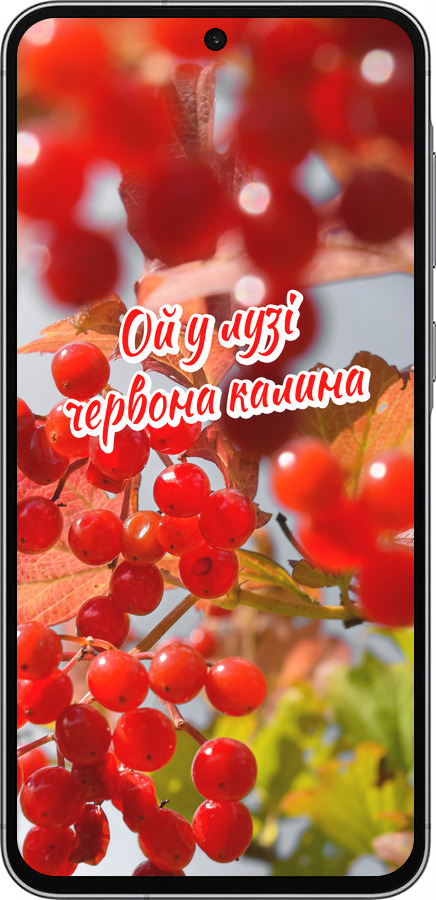 Силиконовый чехол Калина для Samsung Galaxy A56 - 5454u-3882 изображение 
