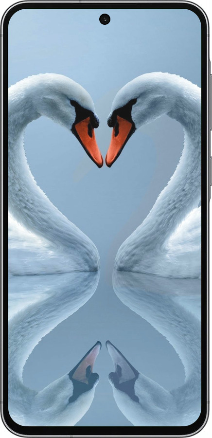 Силиконовый чехол Лебеди для Samsung Galaxy A56 - 6007u-3882 изображение 