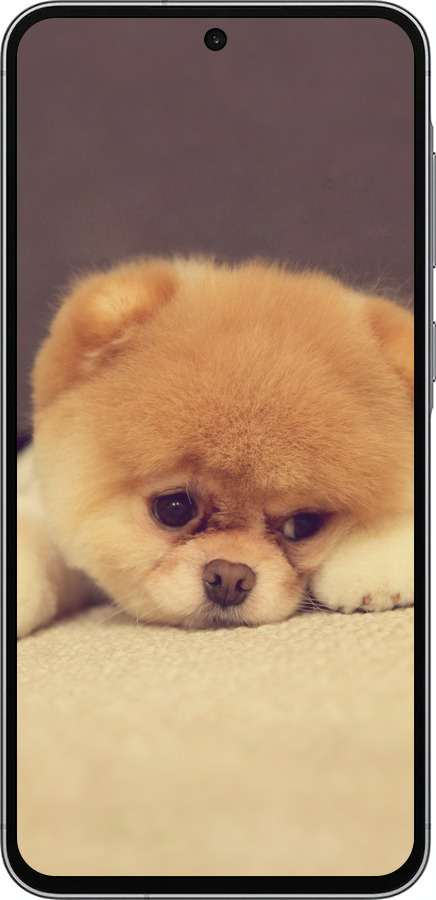 Силиконовый чехол Boo 2 для Samsung Galaxy A56 - 890u-3882 изображение 