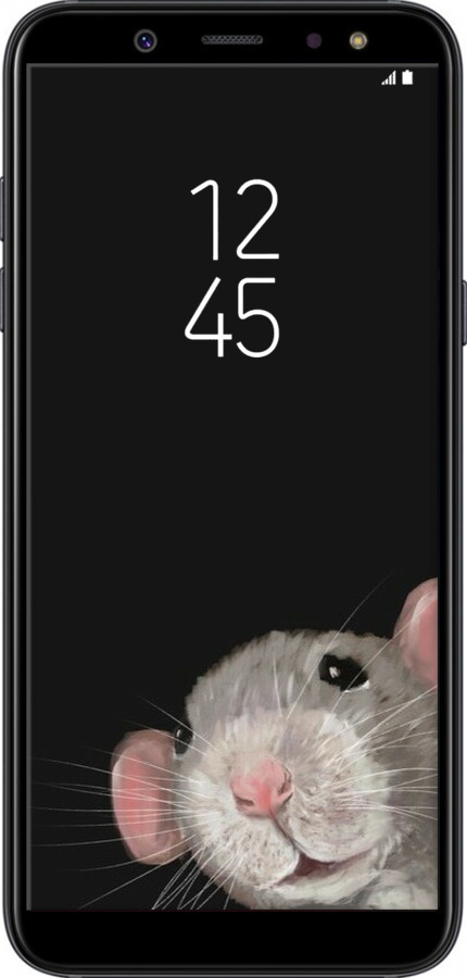 2D пластиковый чехол The Peeking Rat для Samsung Galaxy A6 2018 - 6442t-1480 изображение 