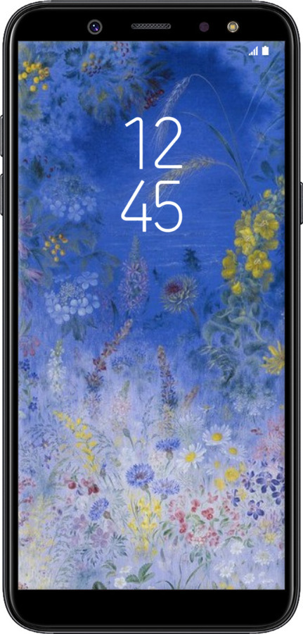 TPU чехол Білокур для Samsung Galaxy A6 Plus 2018 - 5908b-1495 изображение 
